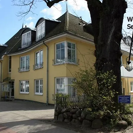 Seestern In The Vogelsang *